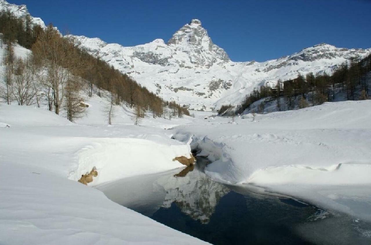 Fagus Cervinia Apartment Vda Vacanze In Vetta Cir 0206 Breuil-Cervinia Eksteriør bilde